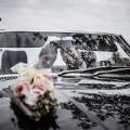 Sabine und Helge - Hochzeit