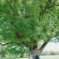 Johanna und Patrick